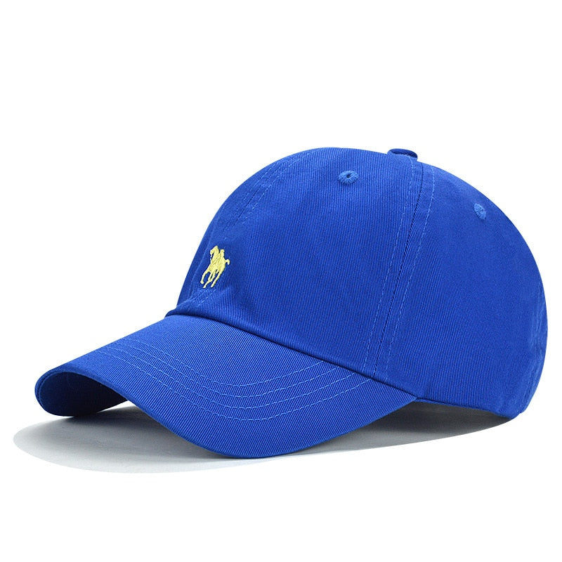 Royal Blue Lids Dad Hats AZ48 Compass Dad Hat Royal/White – Arizoniacs