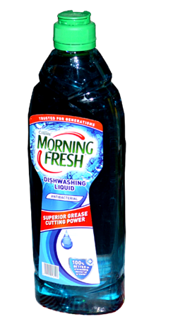 Morning Fresh Antibacterial 450ml