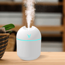 Air Humidifier Cute Aroma Diffuser with Night Light Cold Mist for Bedroom Home Car,Freshen the room,Ideal for Home & Office Decor, Humidifier for Home