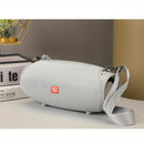 TG534 Portable Wireless Stereo Speaker With Dual Speakers, TWS Stereo Hands-Free Call/FM/TF Card/U Disk, Connect Mobile Phone/Tablet/TV, Music Speaker Plug-in Card U Disk Support