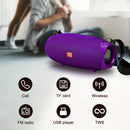 TG534 Portable Wireless Stereo Speaker With Dual Speakers, TWS Stereo Hands-Free Call/FM/TF Card/U Disk, Connect Mobile Phone/Tablet/TV, Music Speaker Plug-in Card U Disk Support