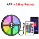 44297723019479|44297723052247|44297723085015|44297723117783|44297723150551|44297723183319