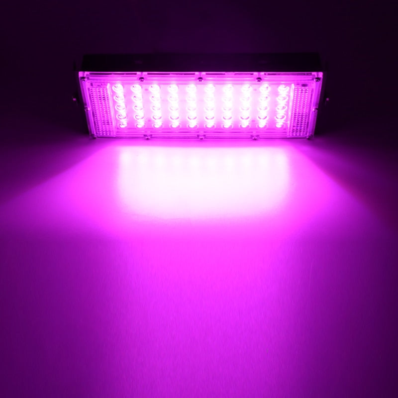 LED Grow Light Phyto Lamp AC 220V 50W LED Full Spectrum Floodlight Indoor Outdoor Greenhouse Plant Hydroponic Plant Spotlight