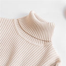 New Women Knitted Turtleneck Sweater Casual Soft Polo-neck Jumper Fashion Slim Femme Elasticity Pullovers Collar Style