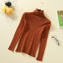 New Women Knitted Turtleneck Sweater Casual Soft Polo-neck Jumper Fashion Slim Femme Elasticity Pullovers Collar Style