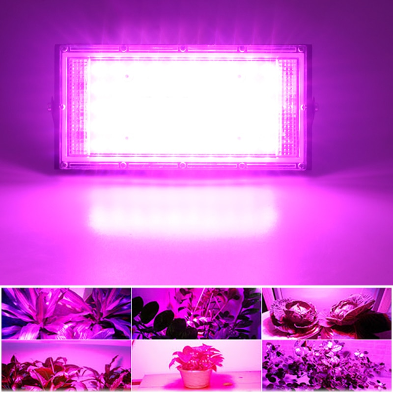 LED Grow Light Phyto Lamp AC 220V 50W LED Full Spectrum Floodlight Indoor Outdoor Greenhouse Plant Hydroponic Plant Spotlight