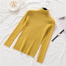 New Women Knitted Turtleneck Sweater Casual Soft Polo-neck Jumper Fashion Slim Femme Elasticity Pullovers Collar Style