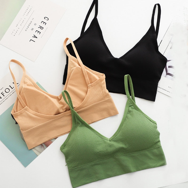 Women Tube Top Crop Top Bra Seamless Underwear Tube Bra Wireless Hollow  Cotton Bralette Sexy Lingerie Female Cropped Bandeau Top - Price history &  Review, AliExpress Seller - Fenland Clothes Store