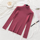 New Women Knitted Turtleneck Sweater Casual Soft Polo-neck Jumper Fashion Slim Femme Elasticity Pullovers Collar Style