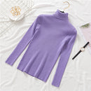 New Women Knitted Turtleneck Sweater Casual Soft Polo-neck Jumper Fashion Slim Femme Elasticity Pullovers Collar Style