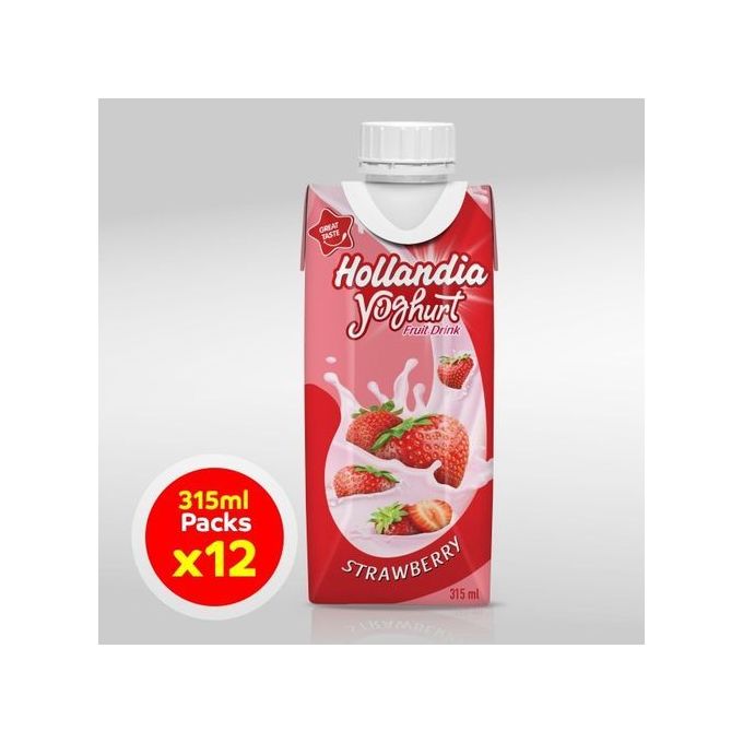 Hollandia Yoghurt-S/berry 315ml