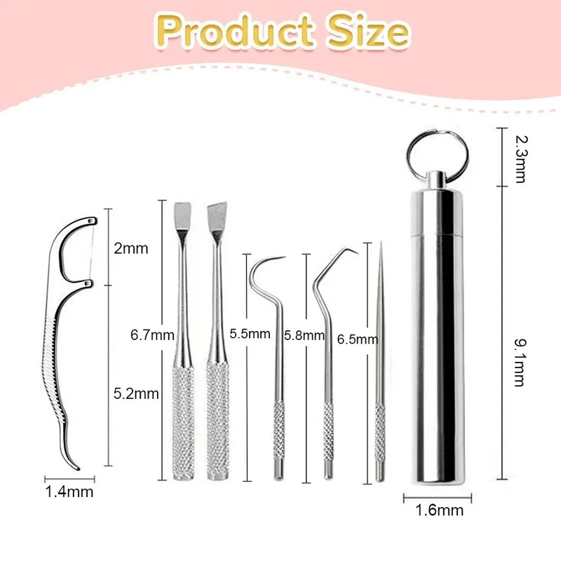 Stainless Steel Toothpick Set Tooth Flossing Reusable Toothpicks Portable Oral Cleaning Tools Teeth Cleaner for Oral Care