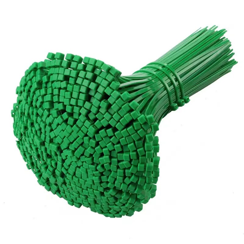 Collier Riselant 100pcs 3*100mm Red Yellow Blue Green Riselant Self Locking Nylon Plast