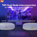 TG534 Portable Wireless Stereo Speaker With Dual Speakers, TWS Stereo Hands-Free Call/FM/TF Card/U Disk, Connect Mobile Phone/Tablet/TV, Music Speaker Plug-in Card U Disk Support