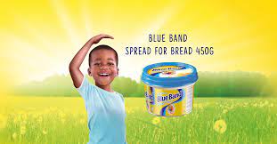 Blue Band Spread For Bread 450g
