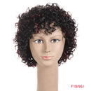 Rebecca Short Loose Curly Wigs For Black Women Brazilian Remy Bouncy Curly Human Hair Wigs Short Wig Blond Red Cosplay Full Wig