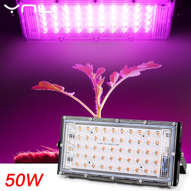 LED Grow Light Phyto Lamp AC 220V 50W LED Full Spectrum Floodlight Indoor Outdoor Greenhouse Plant Hydroponic Plant Spotlight