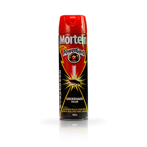Mortein Insecticide CIK Cocroach + Ants 300ml